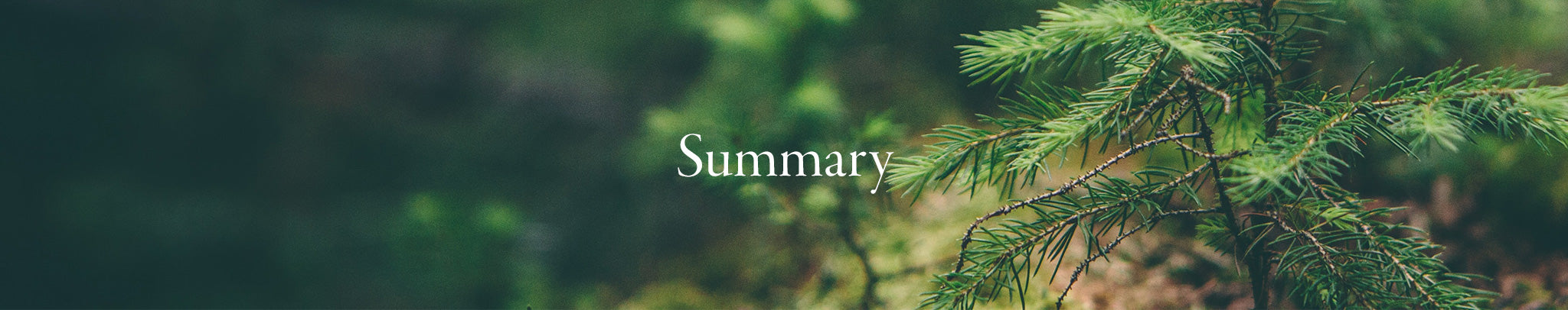 Summary