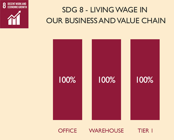 Decent Work and Economic Growth
