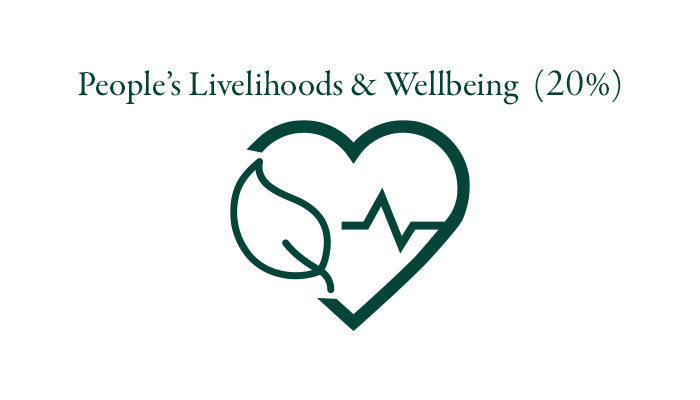 People's Livelihoods and Wellbeing (20%)